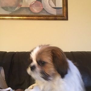 Meet your Posher, Toni